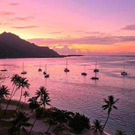 Tropical Retreat & Spa near Taahiamanu Beach