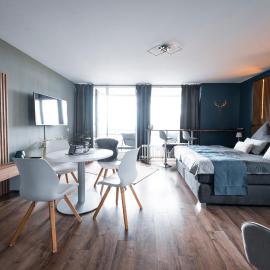 Panorama Appartement Suite Linz am Rhein