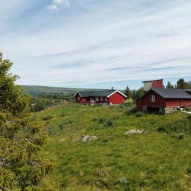 Secluded and peaceful Cabin in Hemsedal with Sauna