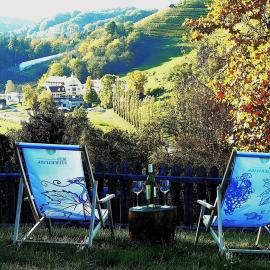 "Ferienwohnungen Karin am Seggauberg" - Panoramalage nahe dem Stadtzentrum Leibnitz
