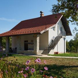 Vila Cosovic, Hotel in Citići