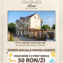 Pensiunea Lari, hotel in Baile Unu Mai