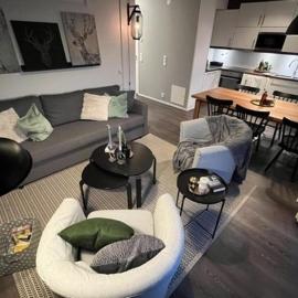 3BR Apartment wSauna-Kungsberget