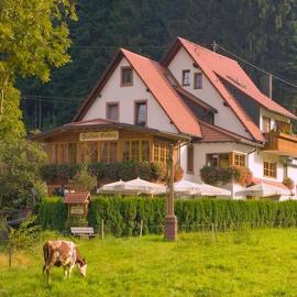 Gasthaus Hohberg
