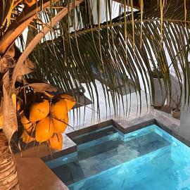 Villa Albizia 974 avec piscine et spa