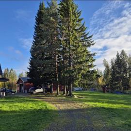 Waldidyll in Jämtland - Ruhe und Natur pur, хотел в Fåker