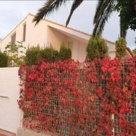 Casa playa Almardá