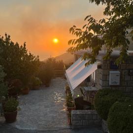 Apartman Oli