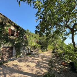 Casa Immersa nel verde