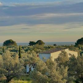 Can Mimosa Guesthouse, hotel u gradu 'Tortosa'