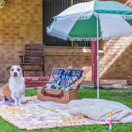 Waves And Moore - Beautifully presented home, hotel in Guilderton