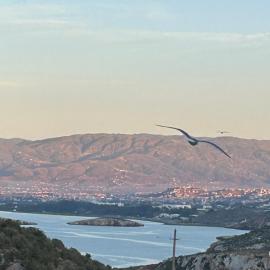 Hoceima F4 Climatisé