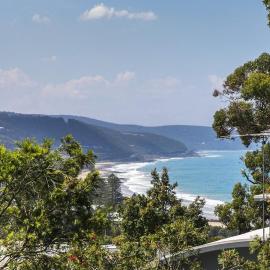 Bowerbird At Lorne