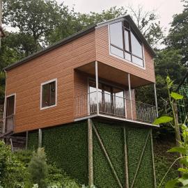 Manus cottage in Batumi