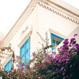 Batroun ñomad souk, hotell i Batroûn