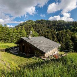 Bright and spacious mountain property in La Plagne-Tarentaise