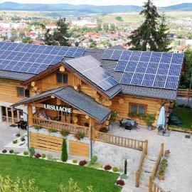 PENSIUNEA IZABELLA, Izabella Chalet, hotel in Topliţa
