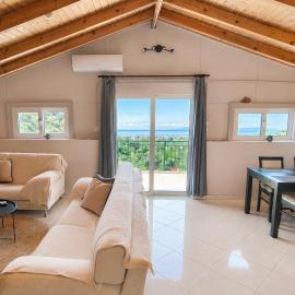Sea view and olive trees