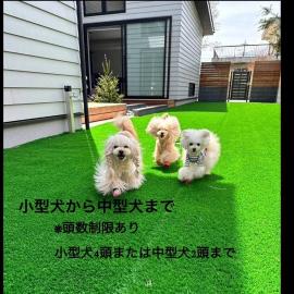 KOYA TRIBE VILLA - Vacation STAY 89222v, hotel i Oishi