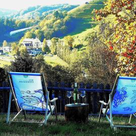 "Ferienwohnungen Karin am Seggauberg" - Panoramalage nahe dem Stadtzentrum Leibnitz