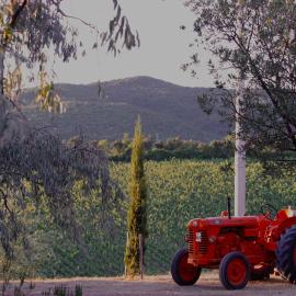 Podere Ortacavoli, hotel a Riparbella