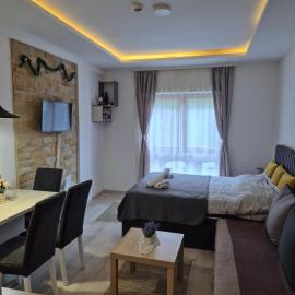 Apartman Nešić Milmari P72