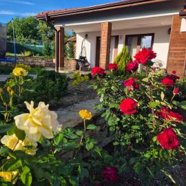 Wildwood Adventure Village, hotell sihtkohas Mladen