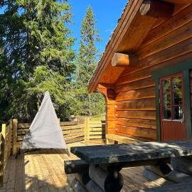Timber cabin