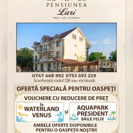 Pensiunea Lari, hotel in Baile Unu Mai