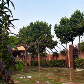 Amaala Resort