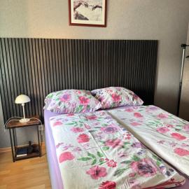 Gemütliche Apartments, hotel in Bendorf