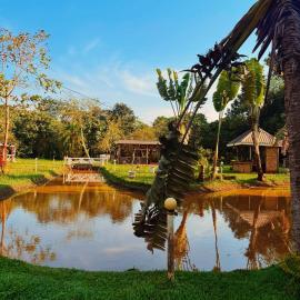 Roots Retreat & Camping Resort