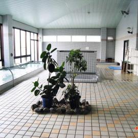 八代温泉さくらホテル、八代市のホテル