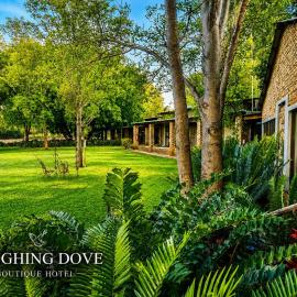 Laughing Dove Boutique Hotel