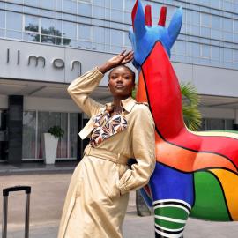 Pullman Kinshasa Grand Hotel, hotel a Kinshasa