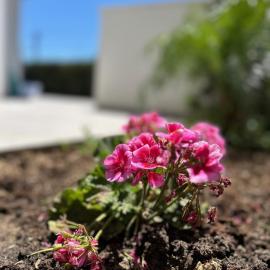 Maroulla's Modern & Spacious Family Home near the Beach, hotel i Limassol