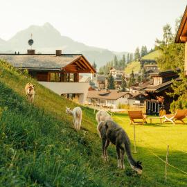 Planat, hotel din San Cassiano