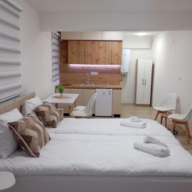 Icoski Apartments: Kruševo şehrinde bir otel