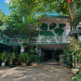 Red Frog Rooms