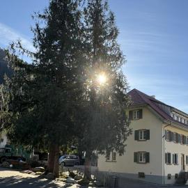 Felsenhof