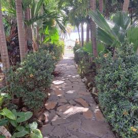 Home by the Beach