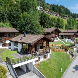Schoneben Mountain Family Retreat