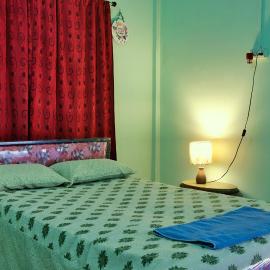 Cozy Mint TR