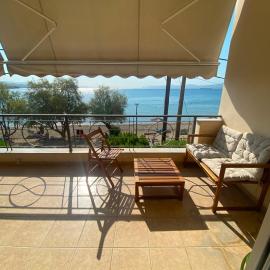 Alcon Properties, ξενοδοχείο στο Λευκαντί