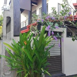 Menuks Villa