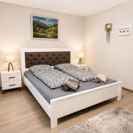 Чудесная квартира в изюминке города Берегово, hotel a Berehove