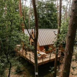 Unique treehouses with hot tub by Bed en Boshuisjes، فندق في أويسترفايك