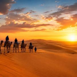 Sahara Mektoub Camp, hótel í Adrouine