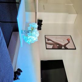 Suite Studio Moderne Quartier du Flon