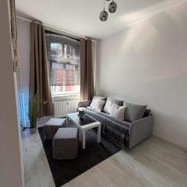 Apartament Sercem w Rybniku, מלון בריבניק